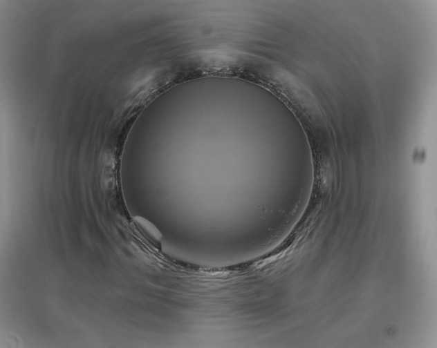 X0000096970964200802081248
