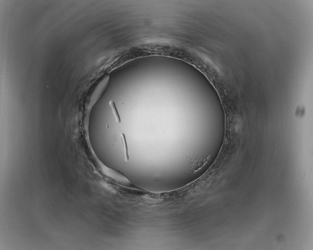 X0000096970965200802081248