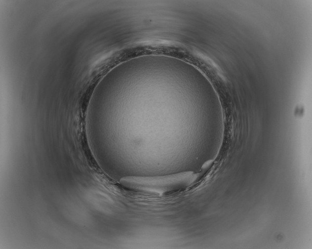 X0000096970966200802081248