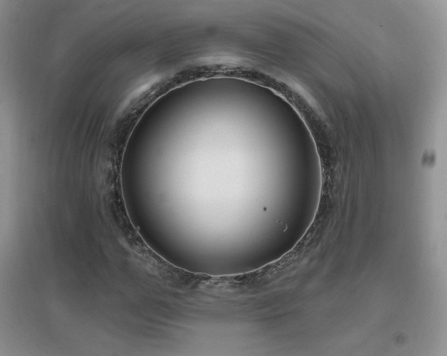 X0000096970967200802081248