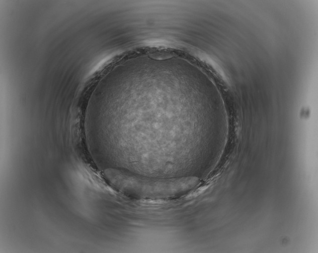 X0000096970968200802081248