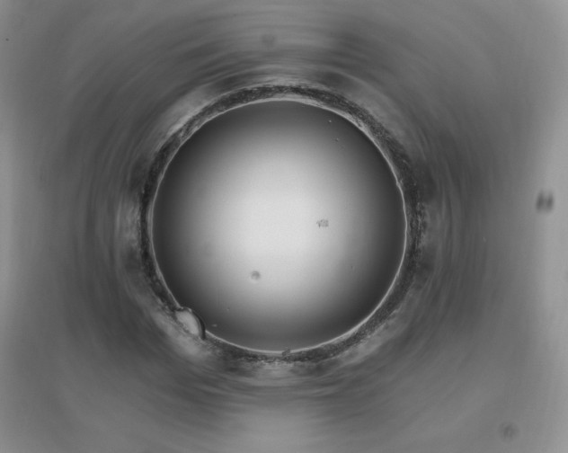 X0000096970969200802081248