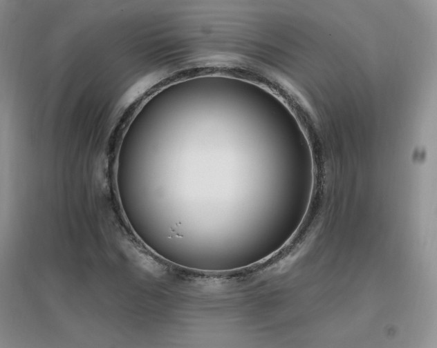 X0000096970970200802081248