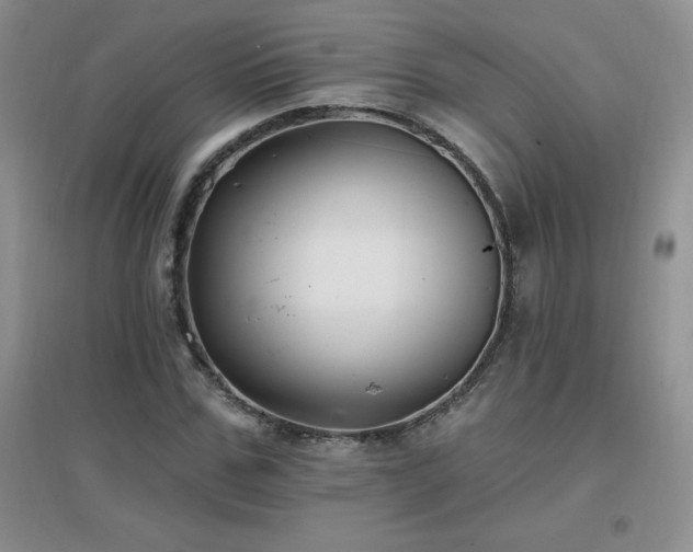 X0000096970971200802081248