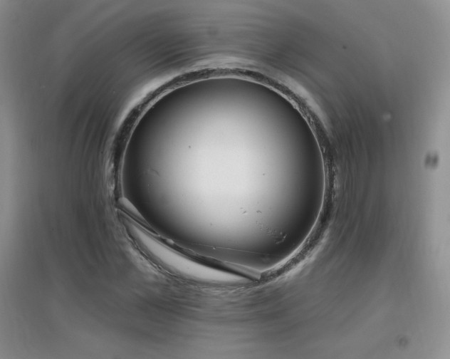 X0000096970973200802081248