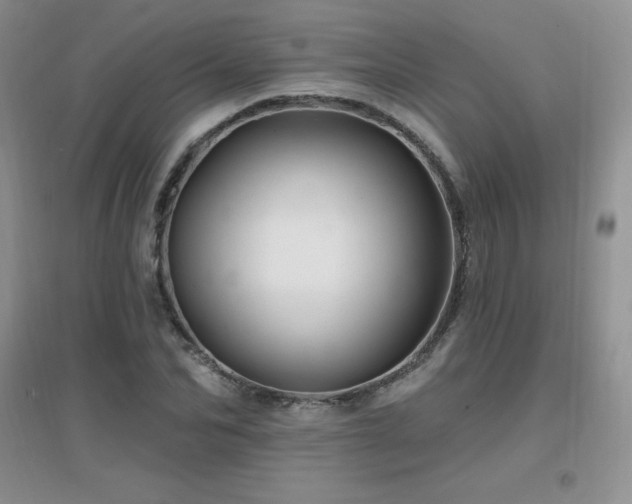 X0000096970974200802081248