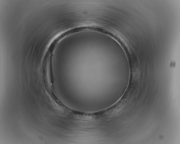 X0000096970975200802081248
