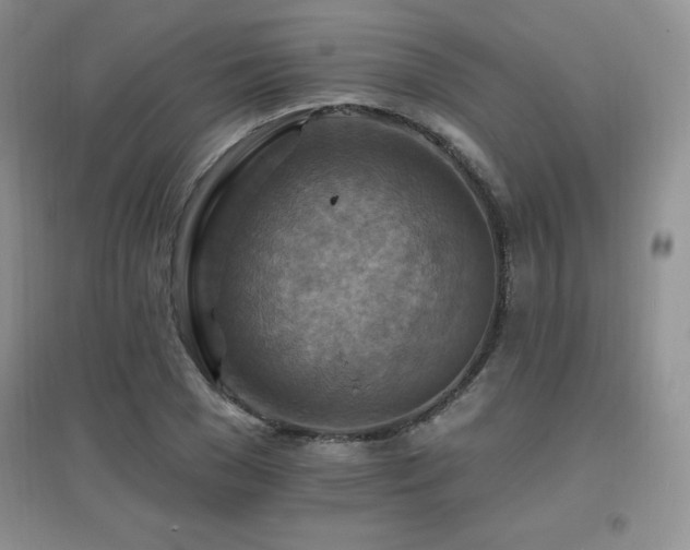 X0000096970977200802081248