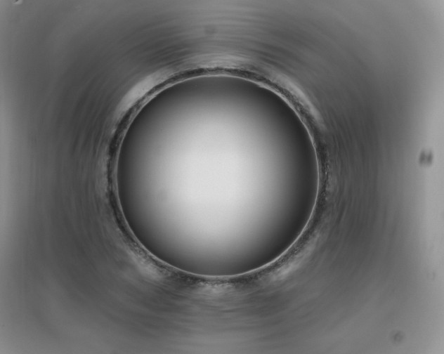 X0000096970978200802081248