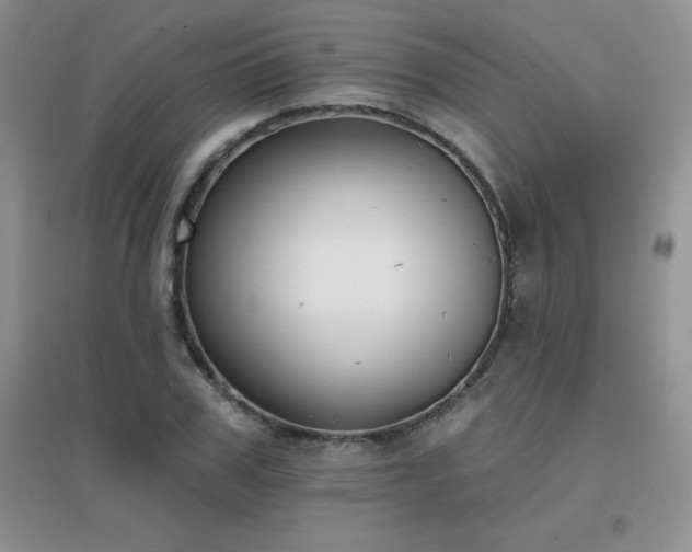 X0000096970979200802081248
