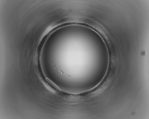 X0000096970981200802081248