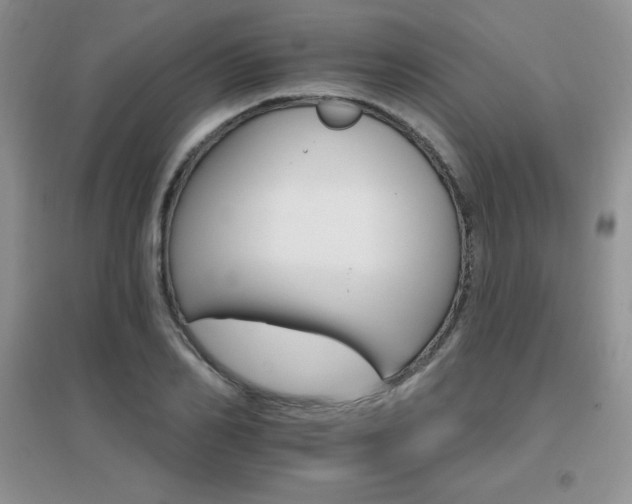 X0000096970982200802081248