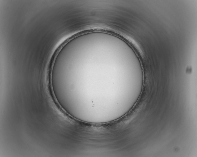 X0000096970983200802081248