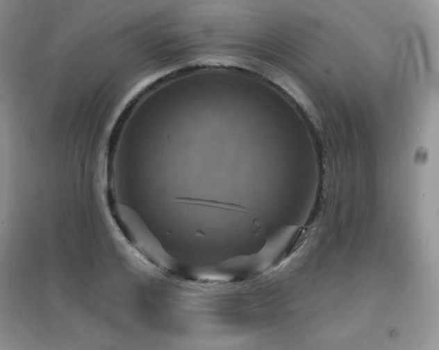 X0000096970984200802081248