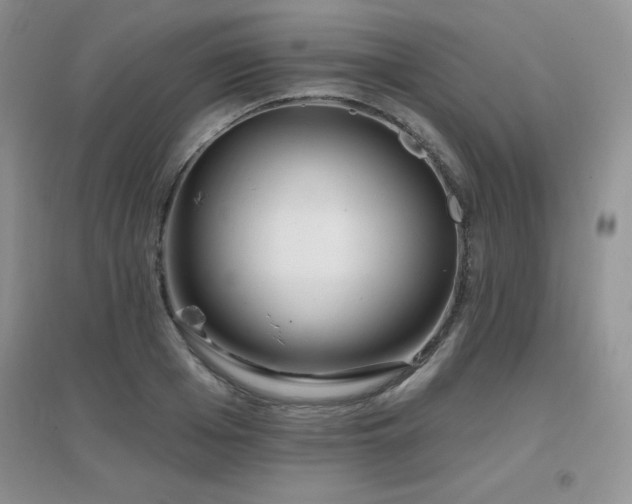 X0000096970985200802081248