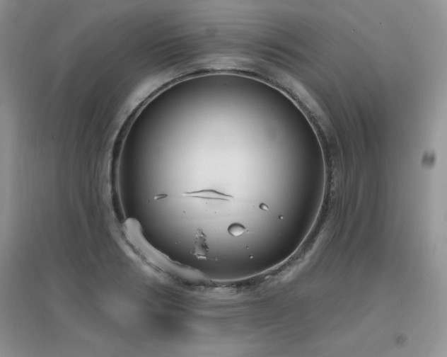 X0000096970986200802081248