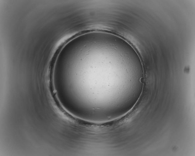 X0000096970987200802081248
