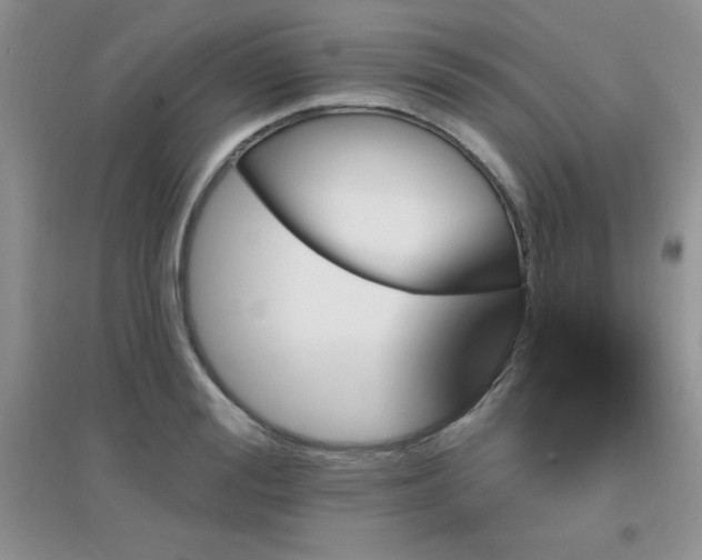 X0000096970988200802081248