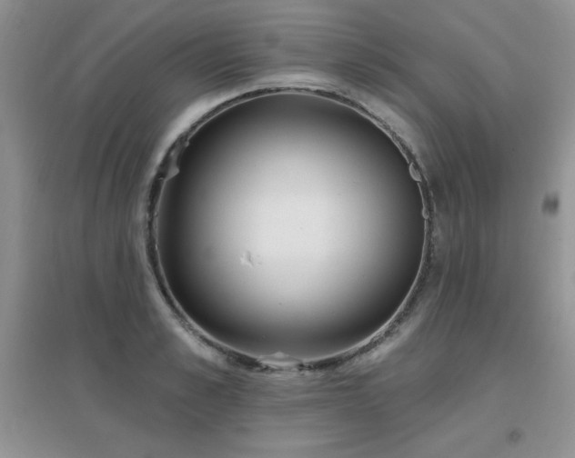 X0000096970989200802081248
