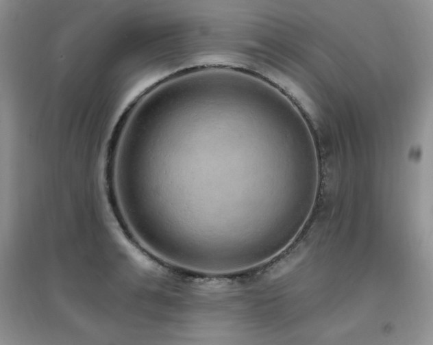 X0000096970991200802081248