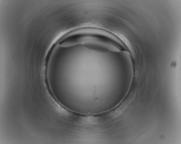X0000096970992200802081248