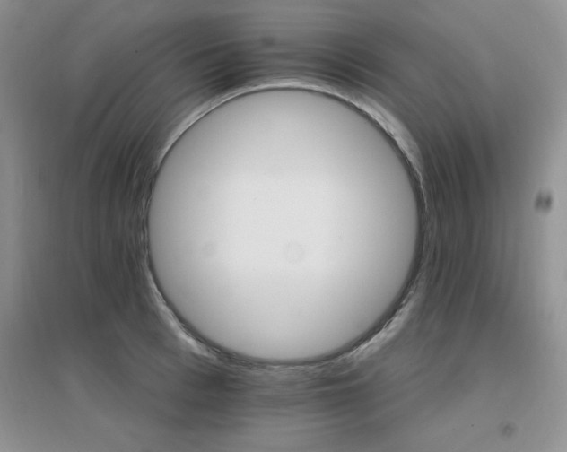 X0000096970993200802081248