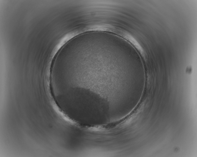 X0000096970994200802081248