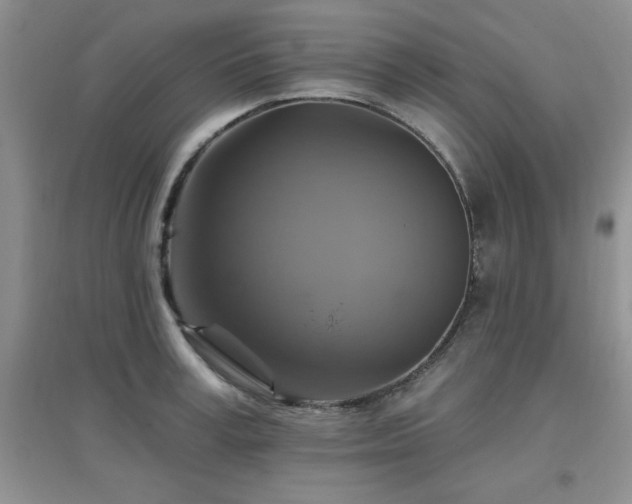 X0000096970995200802081248