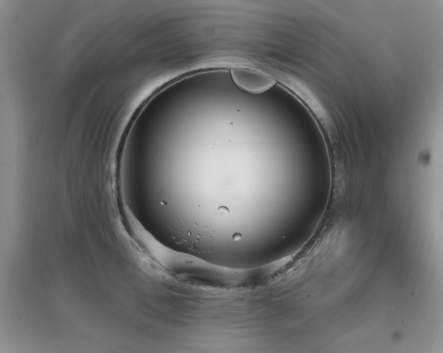 X0000096970996200802081248