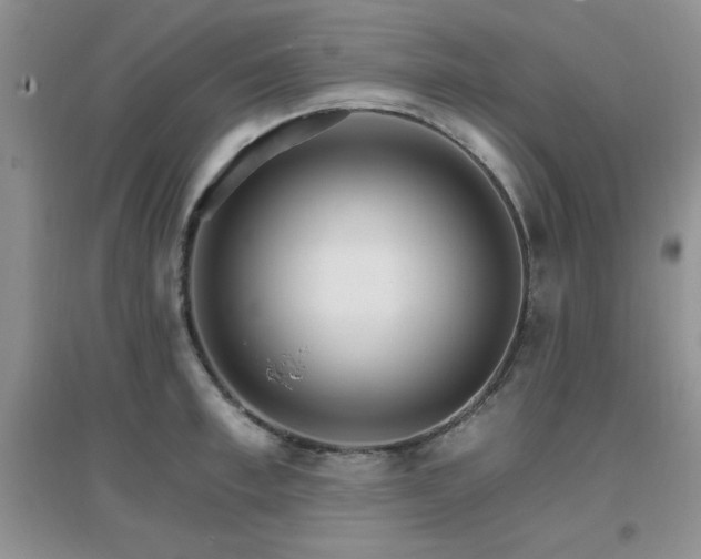X0000096970997200802081248