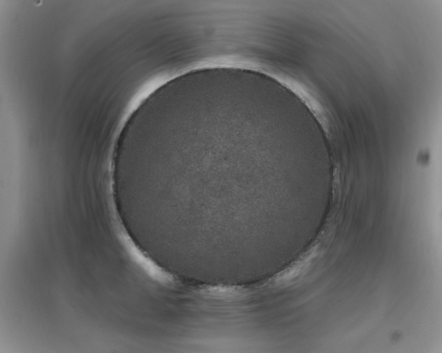 X0000096970998200802081248