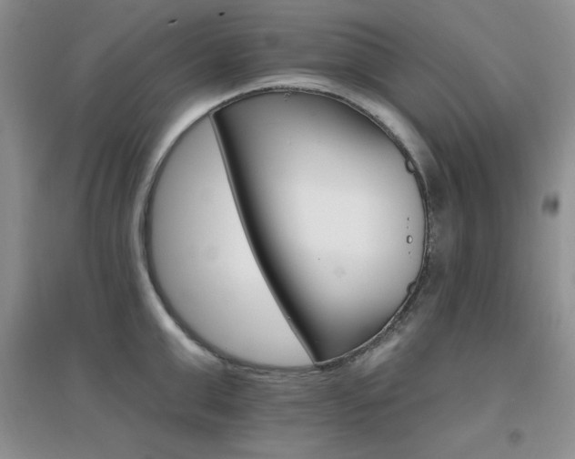 X0000096970999200802081248