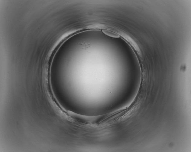 X0000096971000200802081248