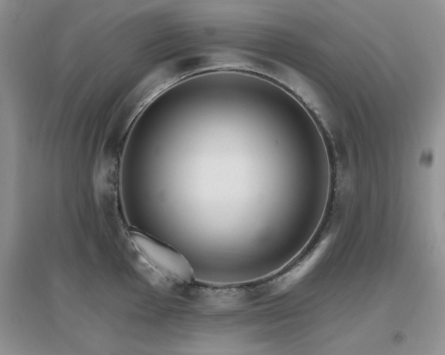 X0000096971001200802081248
