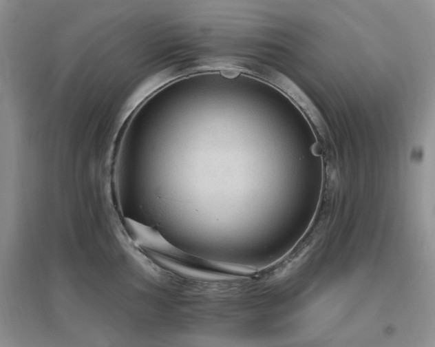 X0000096971002200802081248