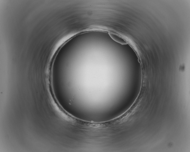 X0000096971003200802081248
