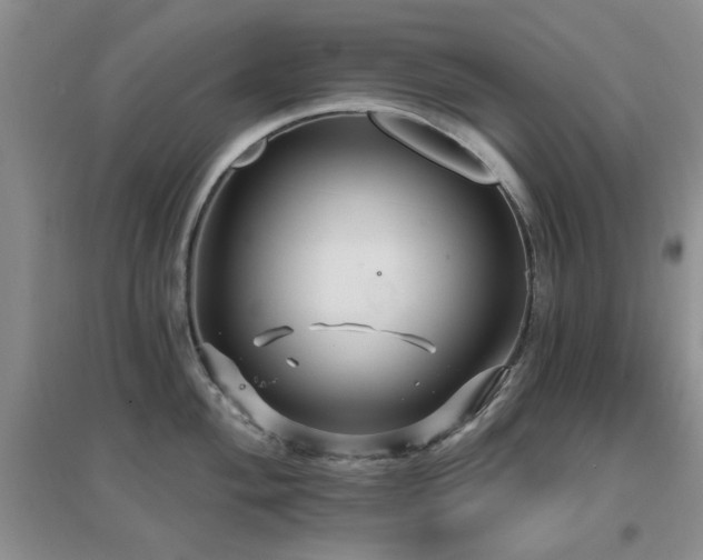 X0000096971004200802081248