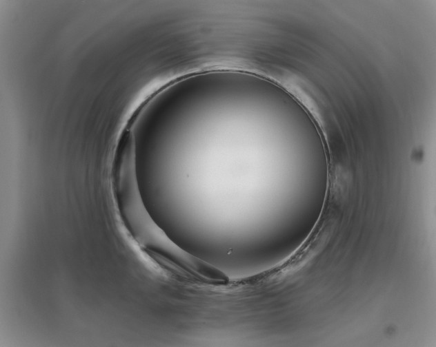 X0000096971005200802081248