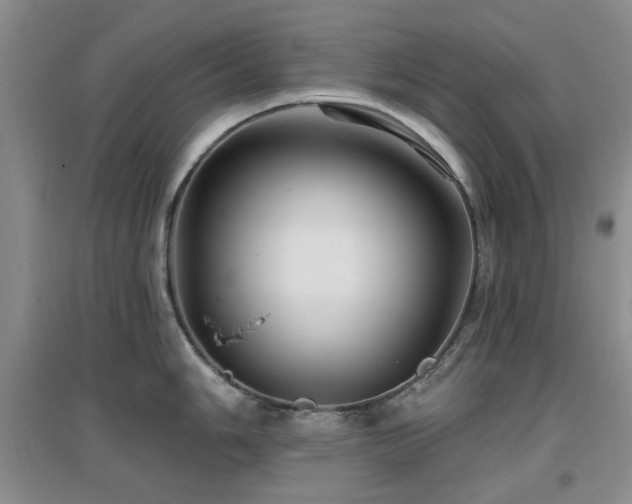 X0000096971006200802081248