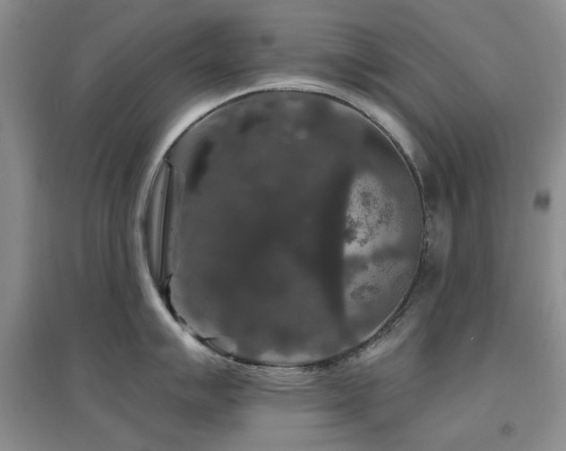 X0000096971007200802081248