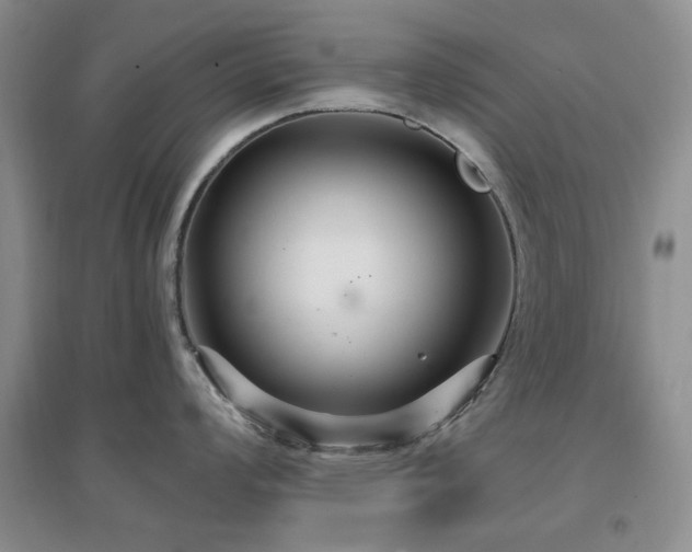 X0000096971008200802081248