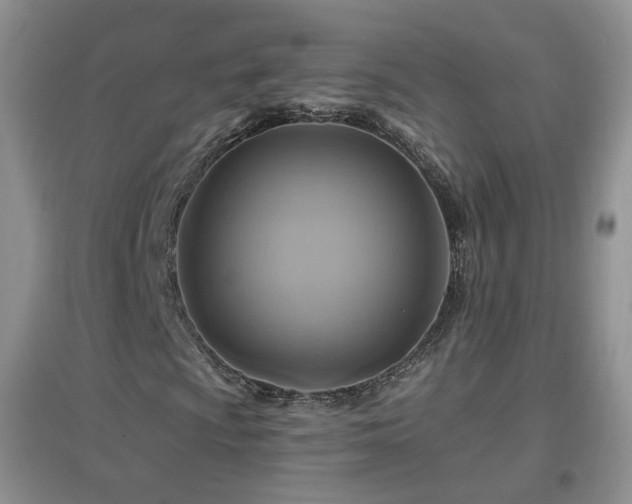 X0000096971009200802081247