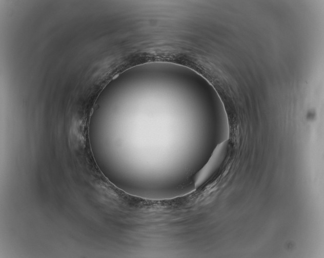 X0000096971010200802081247