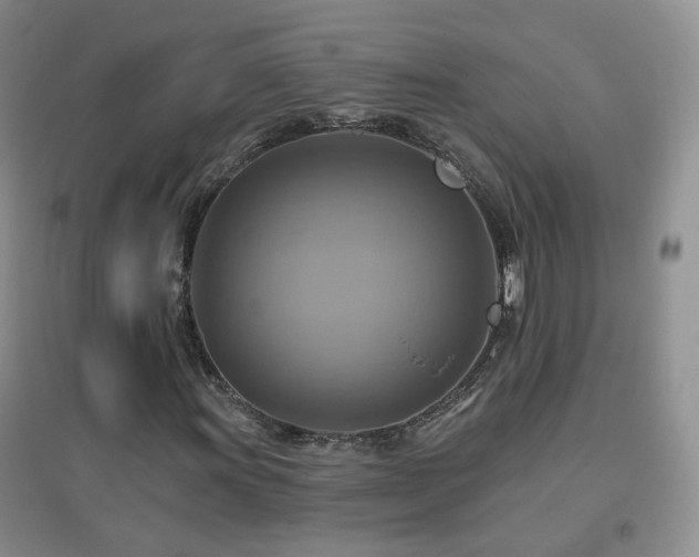 X0000096971011200802081247
