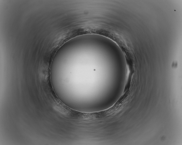 X0000096971012200802081247