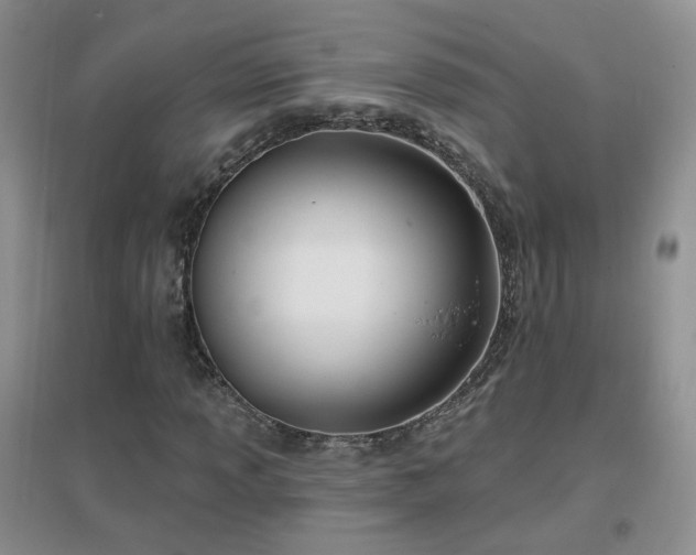 X0000096971013200802081247