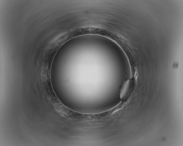 X0000096971014200802081247