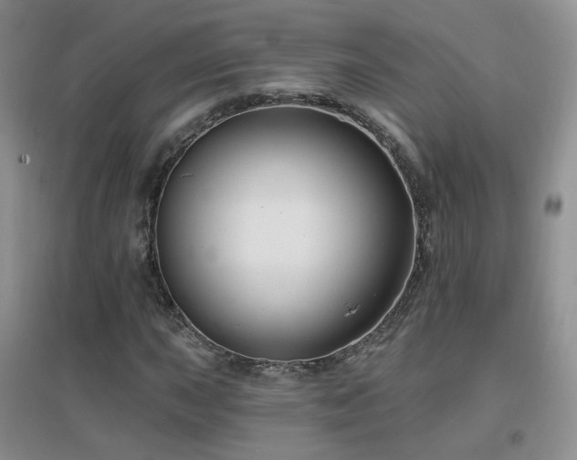 X0000096971015200802081247