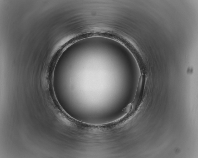 X0000096971018200802081247