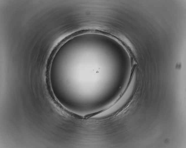 X0000096971020200802081247